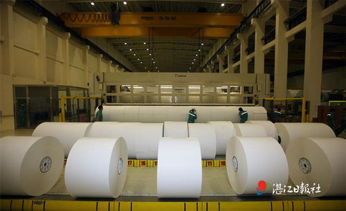 晨鳴紙業(yè) 匠心智造鑄就卓越，技術(shù)開(kāi)發(fā)滿載榮譽(yù)