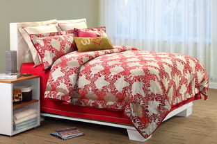 縵狄雅藍家紡產品與加盟店發展探析